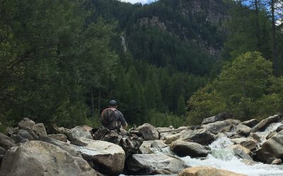 Die Schwarzach im Defereggental