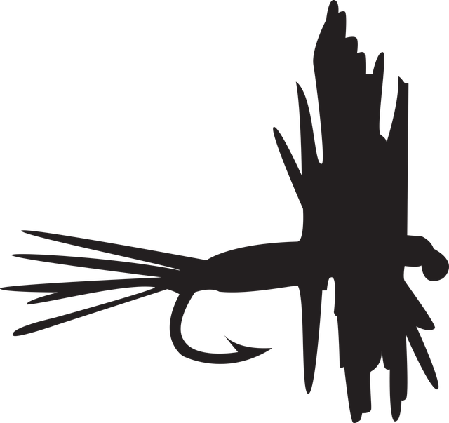 Isarloops Flyfishing School