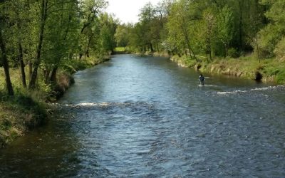 Fliegenfischen am Otava – CZ